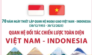 Quan hệ đối tác chiến lược toàn diện Việt Nam - Indonesia